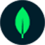 MongoDB Atlas