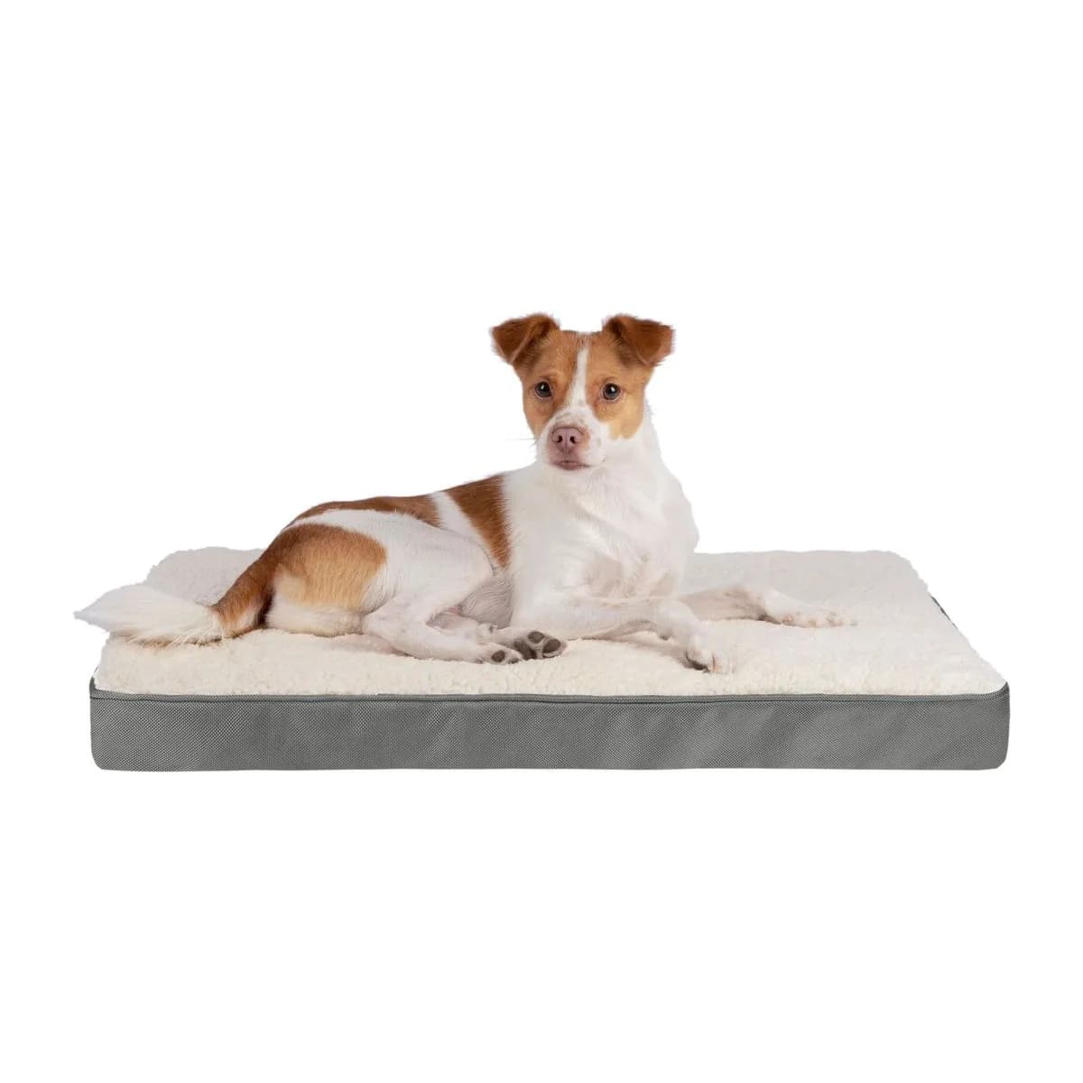 Best Pet Supplies Cute Dog Bed Mat Flat Mattress with Waterproof Exterior