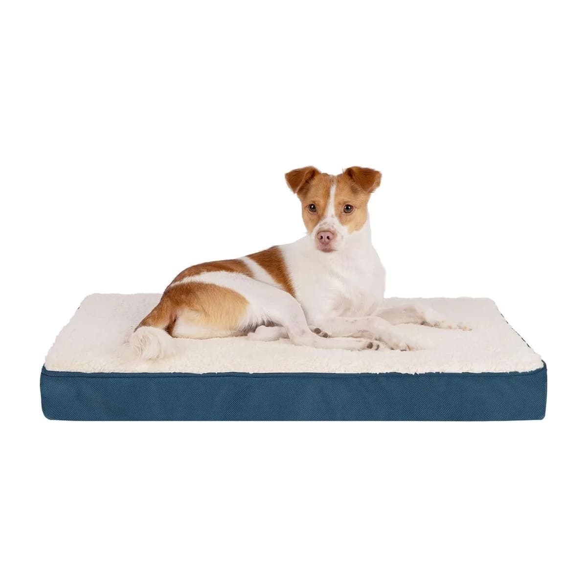 Best Pet Supplies Cute Dog Crate Mat Flat Bed with Waterproof Exterior